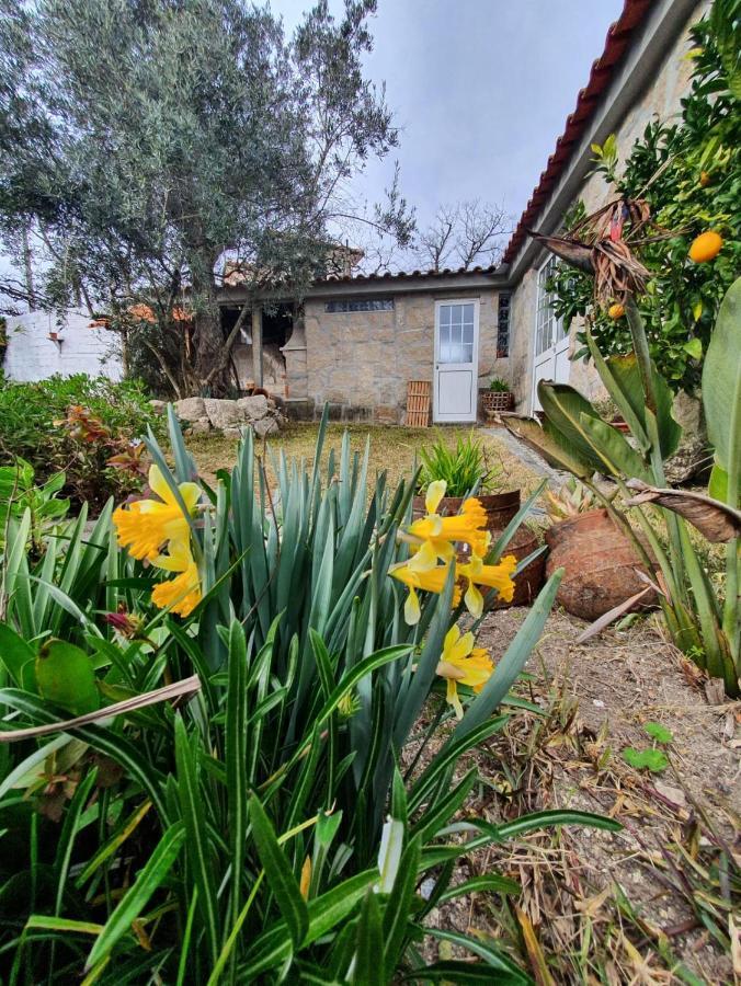 Casa Da Poca Villa ไบเยา ภายนอก รูปภาพ